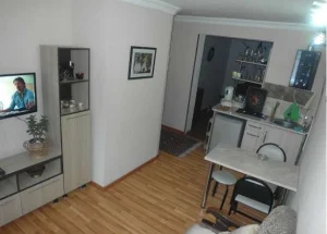 Short term rent 2-room apartment in Borjomi