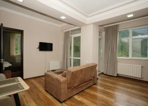 Short term rent 2-room apartment in Borjomi