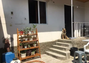 Urgently For sale 4-room house in Nadzaladevi, in Tbilisi