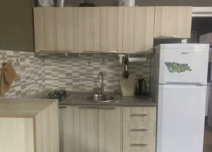 ქირავდება დღიურად ორ ოთახიანი ბინა ბაკურიანში