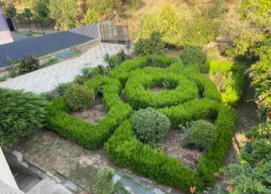 Urgently For rent 10-room house in Mukhiani, in Tbilisi
