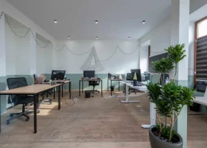 Срочно Сдается 300 м² ოფისი на Вера, в Тбилиси