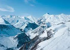 Urgently For sale 1260 m² land plot in Gudauri