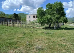 For sale 1140 m² land plot in Sagarejo