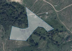 Urgently For sale 8500 m² land plot in Ponichala, in Tbilisi