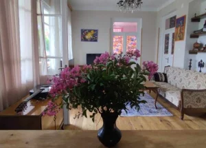 Short term rent 4-room house in Signagi