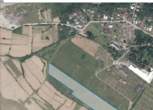 Urgently For sale 14 hectares land plot in Ozurgeti