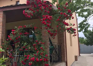 Urgently For rent 6-room house in Saguramo