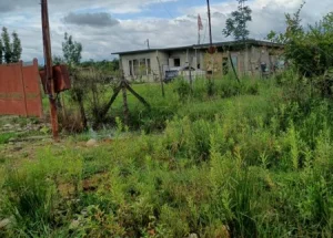 For sale 1500 m² land plot in Tskaltubo