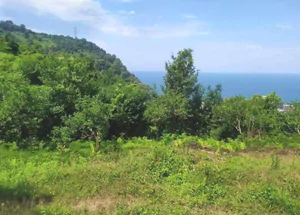 For sale 1230 m² land plot in Batumi
