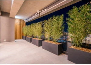 For rent 4-room apartment in Lisi lake, in Tbilisi