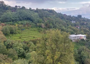 Urgently For sale 2138 m² land plot in Khelvachauri