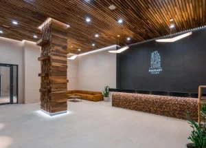 Срочно Сдается 73 м² ოფისი в Ваке, в Тбилиси