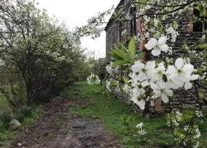 For sale 7-room country house in Telavi
