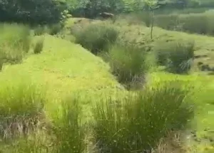 Urgently For sale 3.3 hectares land plot in Ureki