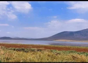 Urgently For sale 4.4 hectares land plot in Ninotsminda