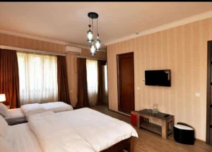 Urgently For rent 750 m² სასტუმრო in Vazisubani, in Tbilisi