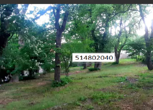 Urgently For sale 3900 m² Building in Kojori, in Tbilisi