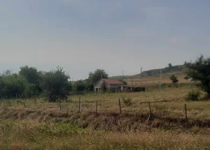 For sale 6000 m² land plot in Orkhevi, in Tbilisi
