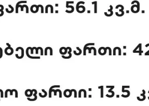 იყიდება ორ ოთახიანი ბინა რუსთავში