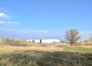 Urgently For sale 6000 m² land plot in Lilo, in Tbilisi