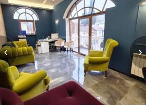 Urgently For rent 150 m² Office on Mtatsminda, in Tbilisi