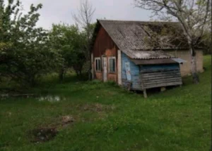 იყიდება 1 ჰექტარი მიწა თერჯოლაში