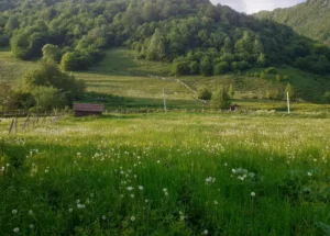 Продается 2368 м² земельный участок в Они
