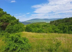 Продается 5495 м² земельный участок в Душети