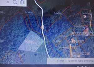 Urgently For sale 5000 m² land plot in Ozurgeti
