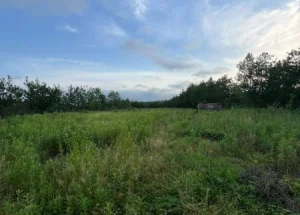 Urgently For sale 4200 m² land plot in Khobi
