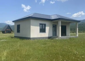 Urgently For sale 3-room house in Dusheti