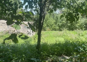 სასწრაფოდ იყიდება 300 კვ.მ. მიწა ტაბახმელაში, თბილისში