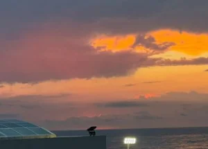 სასწრაფოდ ქირავდება ერთ ოთახიანი ბინა ბათუმში