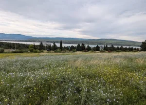 Продается 2500 м² земельный участок в Тбилисское море, в Тби