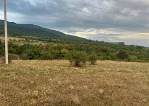 Urgently For sale 600 m² land plot in Mtskheta