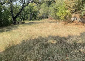 Urgently For sale 3000 m² land plot in Kojori, in Tbilisi