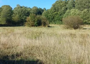 For sale 5700 m² land plot in Tskaltubo