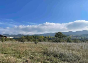 For sale 3080 m² land plot in Saguramo
