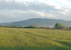 For sale 7300 m² land plot in Natakhtari