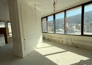 იყიდება ხუთ ოთახიანი ბინა ვაკეში, თბილისში