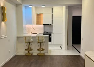 For sale 2-room apartment in Krtsanisi, in Tbilisi