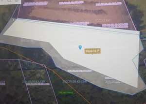 Urgently For sale 2600 m² land plot in Tskaltubo