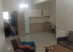 სასწრაფოდ ქირავდება ორ ოთახიანი ბინა საბურთალოზე, თბილისში
