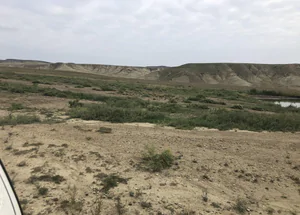 სასწრაფოდ იყიდება 200 კვ.მ. მიწა საგარეჯოში