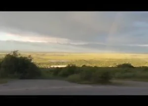 For sale 5000 m² land plot in Signagi