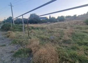 For sale 4221 m² land plot in Krtsanisi, in Tbilisi