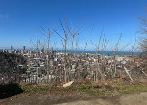 Urgently For sale 1 hectare land plot in Batumi