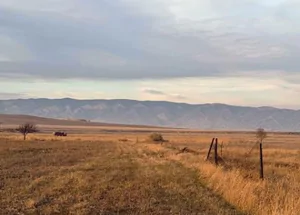 Urgently For sale 3080 m² land plot in Kaspi