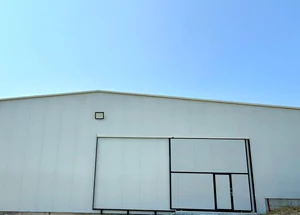 For rent 500 m² Warehouse in Lilo, in Tbilisi